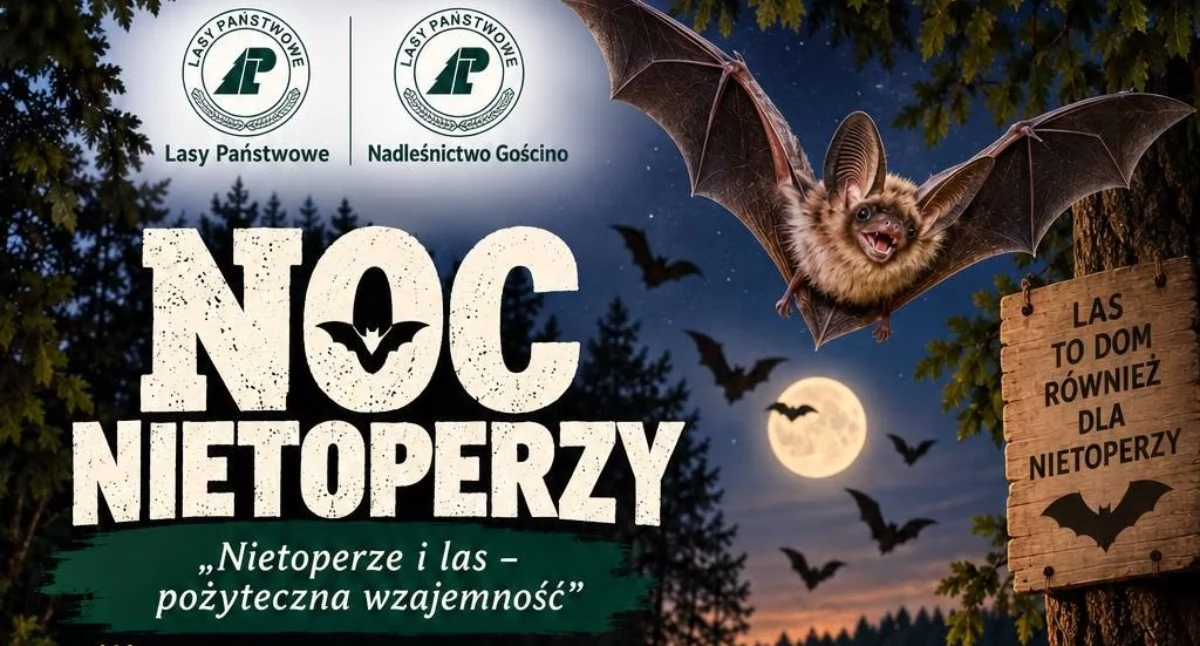 Wiadomości, Nietoperzy jeziorem Popiel Będą detektory spacer zmroku ognisko - zdjęcie, fotografia