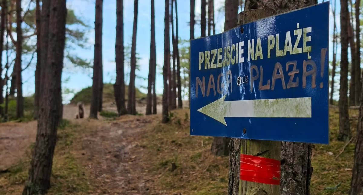 Wiadomości, Część przejść plażę zniknąć Zmiany między Grzybowem Dźwirzynem - zdjęcie, fotografia