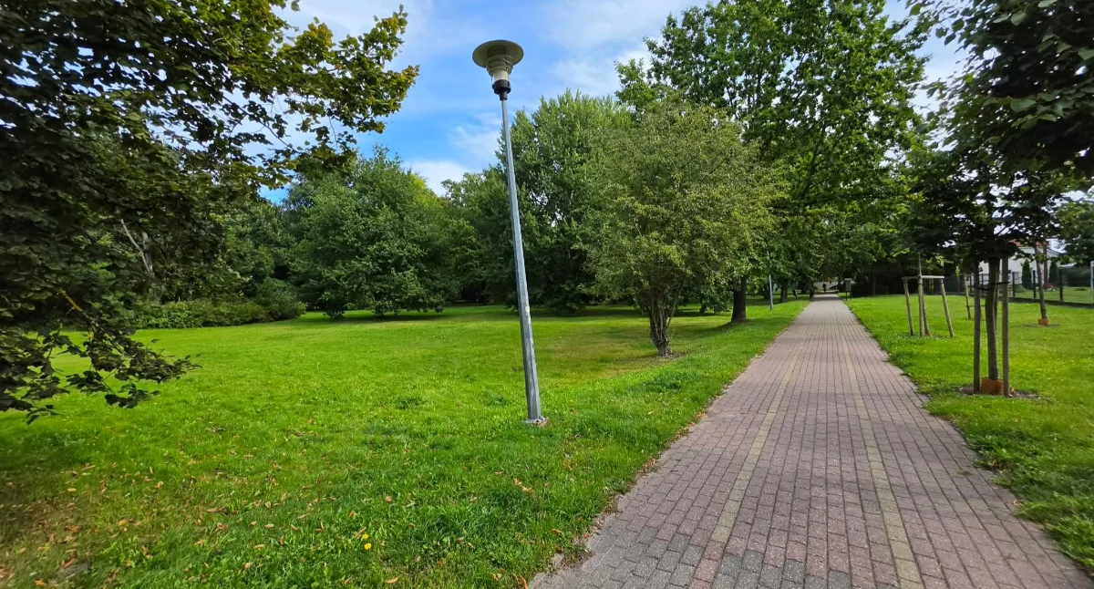 Inwestycje, Ogród deszczowy ławki zieleń Miasto wraca rewitalizacji kołobrzeskiego parku - zdjęcie, fotografia