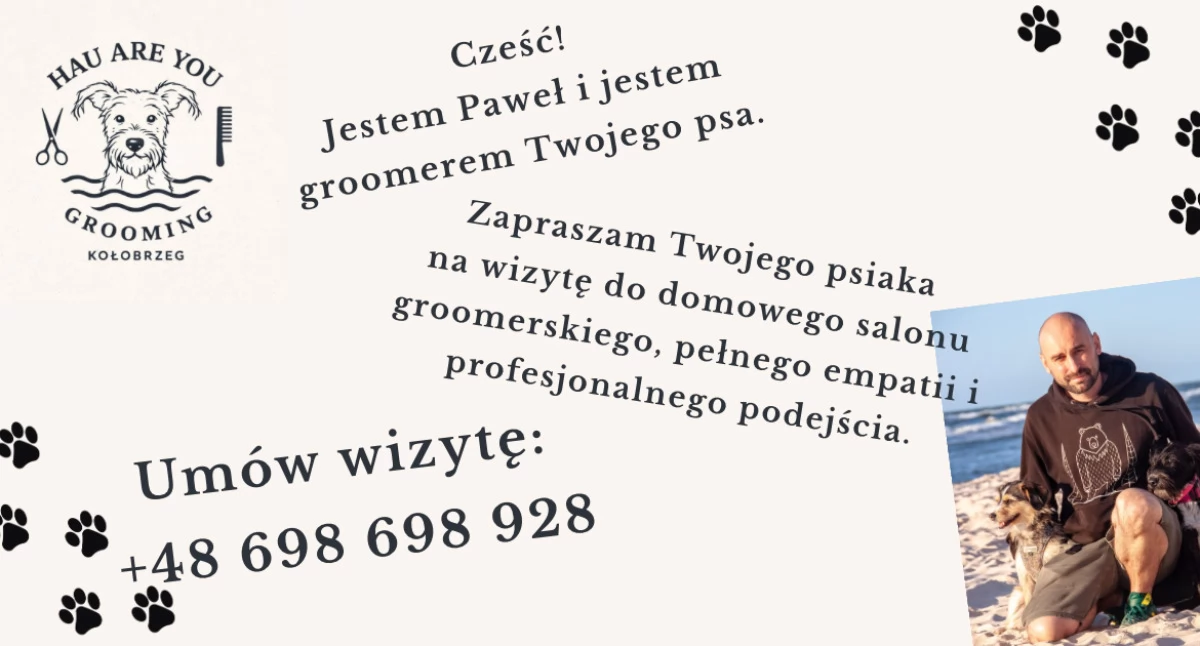 Komunikaty, Piękna sierść spokojny salon groomerski Kołobrzegu - zdjęcie, fotografia
