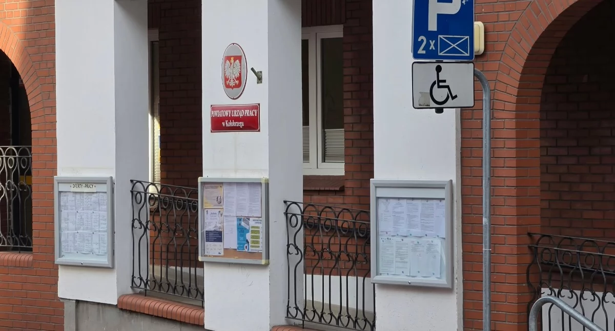 Wiadomości, Bezpłatne spotkanie kobiet powiatu Będzie pracy kwalifikacjach powrocie rynek - zdjęcie, fotografia