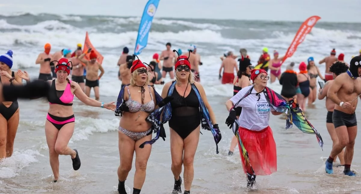 Wiadomości, Morsy zainaugurują sezon mroźnych kąpieli - zdjęcie, fotografia