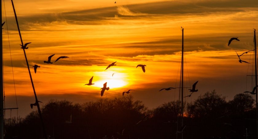 Meteo Kołobrzeg: Pogodnie, ale chłodno