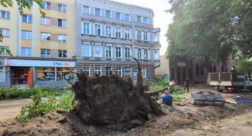 Drzewo runęło na Urząd Skarbowy