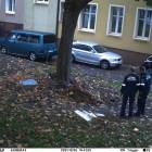 Fotka nr 5 z 7