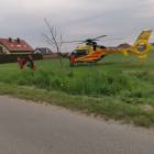 Fotka nr 5 z 6