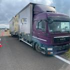 Fotka nr 2 z 11