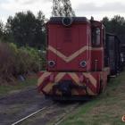 zdjęcie nr 21