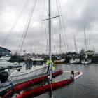 Fotka nr 1 z 11