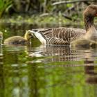 zdjęcie nr 23