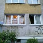 Fotka nr 5 z 13
