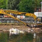 zdjęcie nr 8