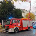Fotka nr 3 z 11