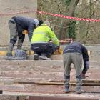 Fotka nr 4 z 5
