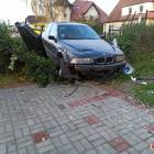 Fotka nr 2 z 8