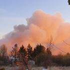 IMG-20200408-WA0005