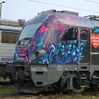 Fotka nr 1 z 4