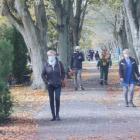 zdjęcie nr 8