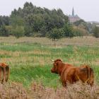 zdjęcie nr 16