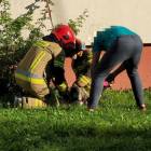 Fotka nr 3 z 14