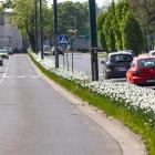 zdjęcie nr 7