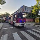 Fotka nr 4 z 12