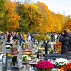 zdjęcie nr 32
