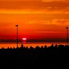 zdjęcie nr 11
