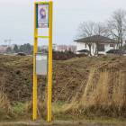 zdjęcie nr 13