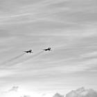 IMG_9843