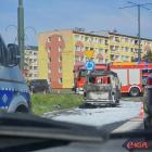 zdjęcie nr 14