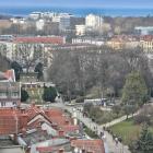 zdjęcie nr 8