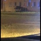 zdjęcie nr 17