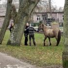 zdjęcie nr 14