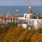 zdjęcie nr 31