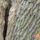 IMG_20200120_090354