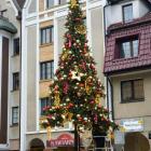 Fotka nr 3 z 5