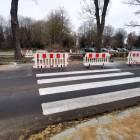 zdjęcie nr 7