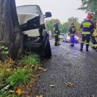 zdjęcie nr 16