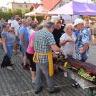 zdjęcie nr 13