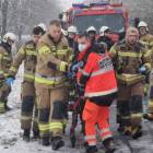 Fotka nr 1 z 11