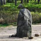 zdjęcie nr 19