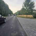 Fotka nr 2 z 4
