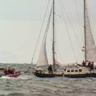 Fotka nr 2 z 21