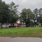 zdjęcie nr 8