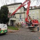 zdjęcie nr 10