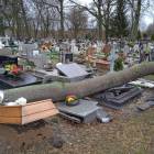 zdjęcie nr 13