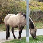 IMG_20201124_104607