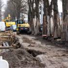 zdjęcie nr 12