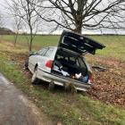 Fotka nr 2 z 8